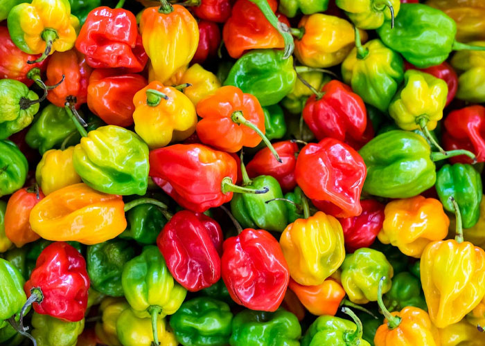 “They Somehow Thought Free Spaghetti Was A Reasonable Request”: 45 Of The Most Peculiar Requests Waiters Have Ever Heard