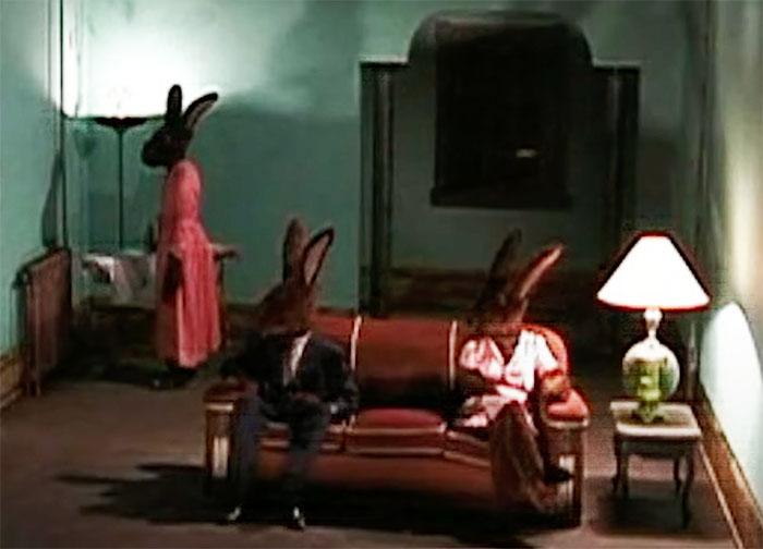 rabbits sitting and standing in Rabbits