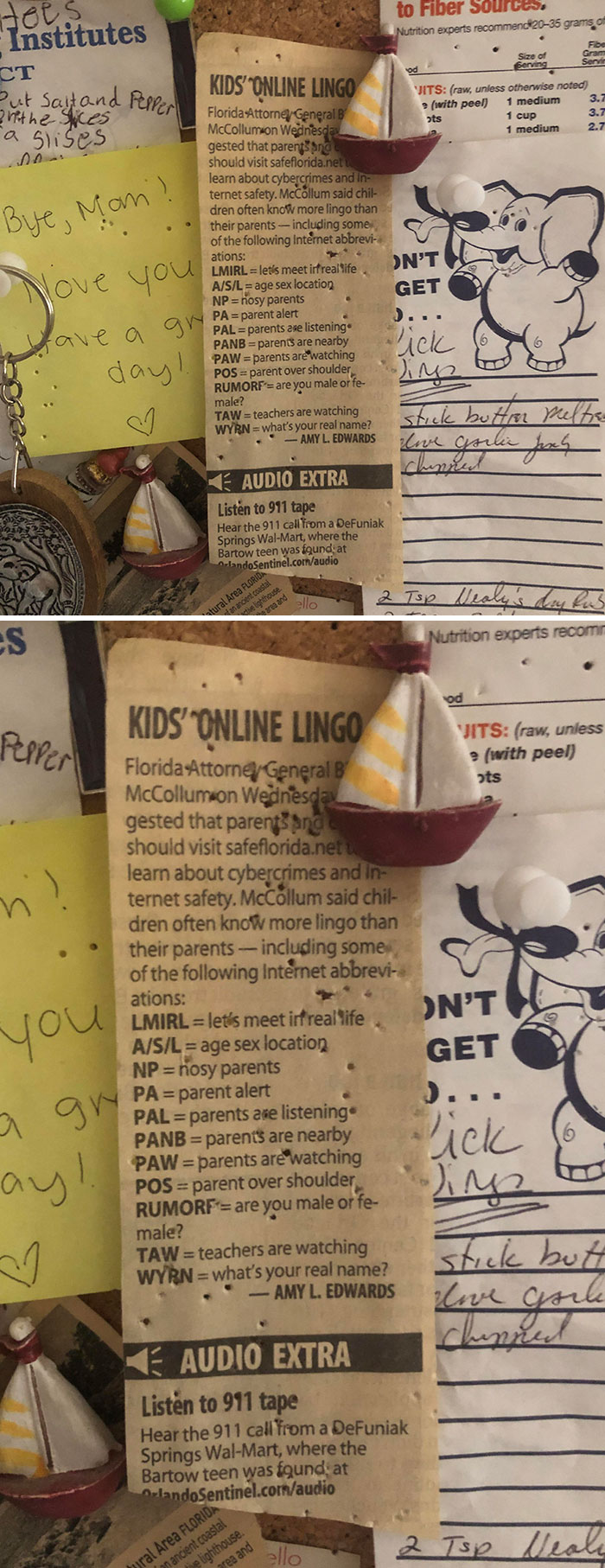 My Mom Has Had This Newspaper Clipping Pinned To The Corkboard In Her Kitchen Since I Was 12. I Am Now 26