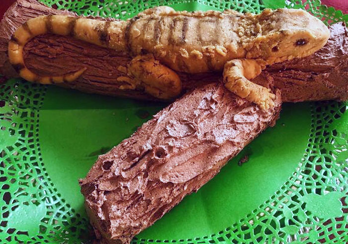 I Wanted A Bearded Dragon For My Birthday, So My Mom Made Me One. In Cake Form. She's Incredible