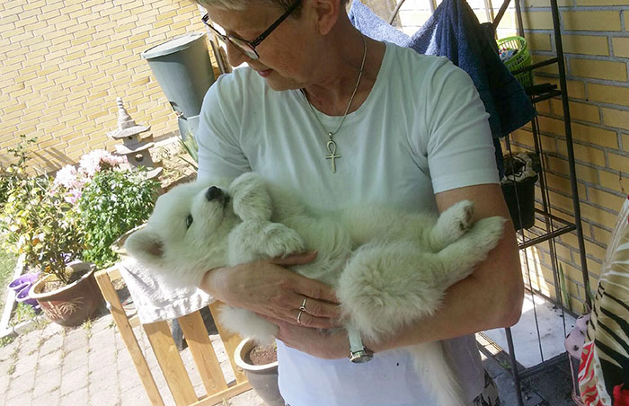 Mom Texted Me And Said She Was Going To Be A Mother Again. A Minute Later I Get This Picture