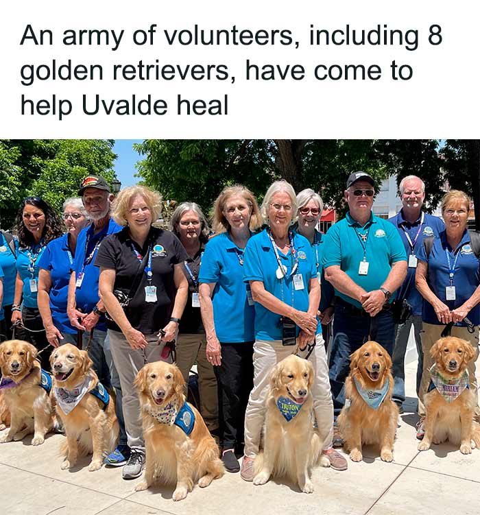 Wholesome-Pictures-Tanks-Good-News