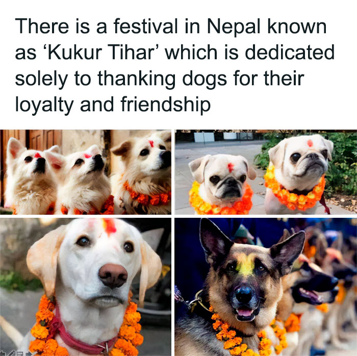 Wholesome-Pictures-Tanks-Good-News