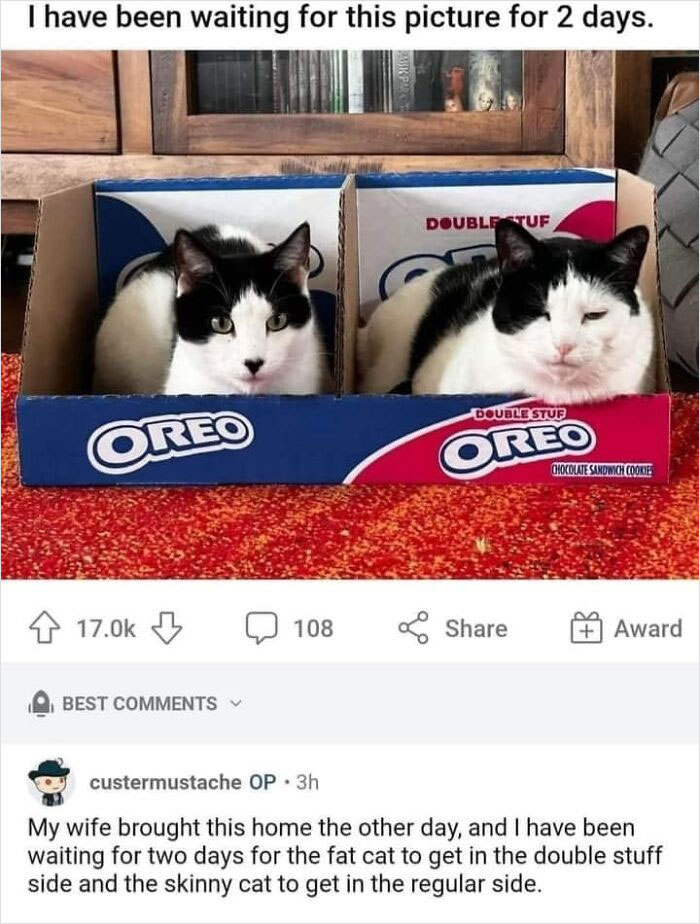 Wholesome-Very-Blessed-Images