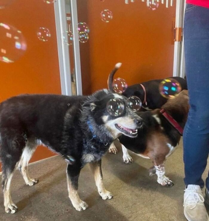 30 Wholesome Pics To Remind You There's Good In The World, As Shared On "Blessed Imageposting"