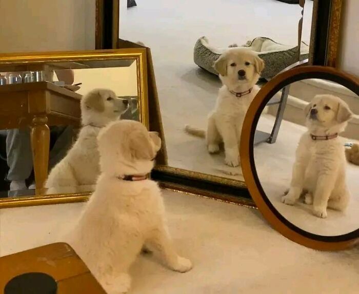 30 Wholesome Pics To Remind You There's Good In The World, As Shared On "Blessed Imageposting"