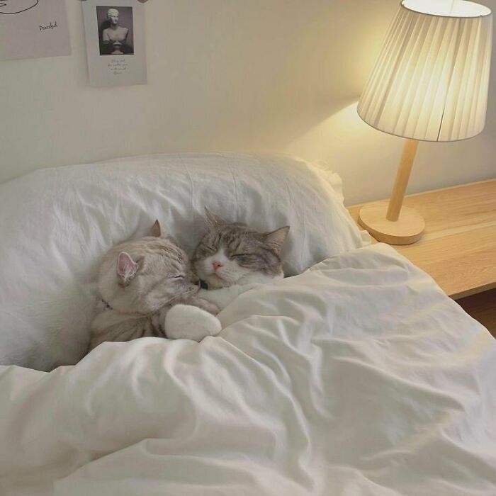 30 Wholesome Pics To Remind You There's Good In The World, As Shared On "Blessed Imageposting"