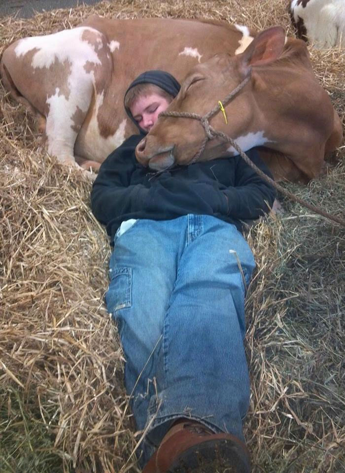 30 Wholesome Pics To Remind You There's Good In The World, As Shared On "Blessed Imageposting"