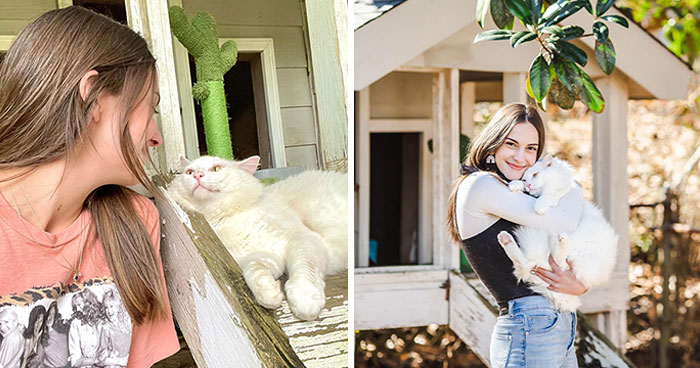 Meet Coop, A Cat Abandoned By His Owners Who Found His New Loving Family