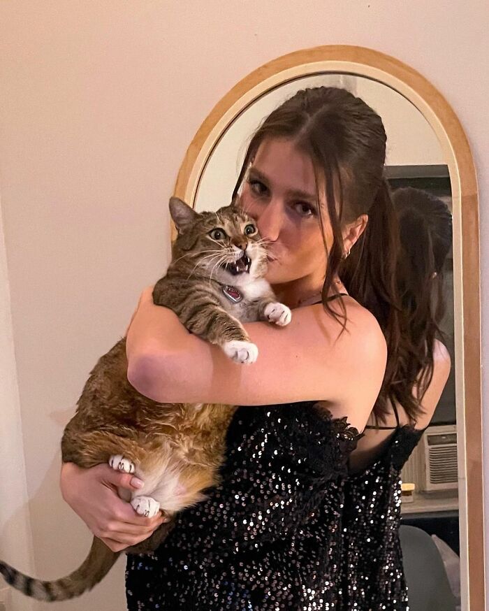 Woman Stuck On Roof Decides It&rsquo;s Faster To Call Uber Eats For Help