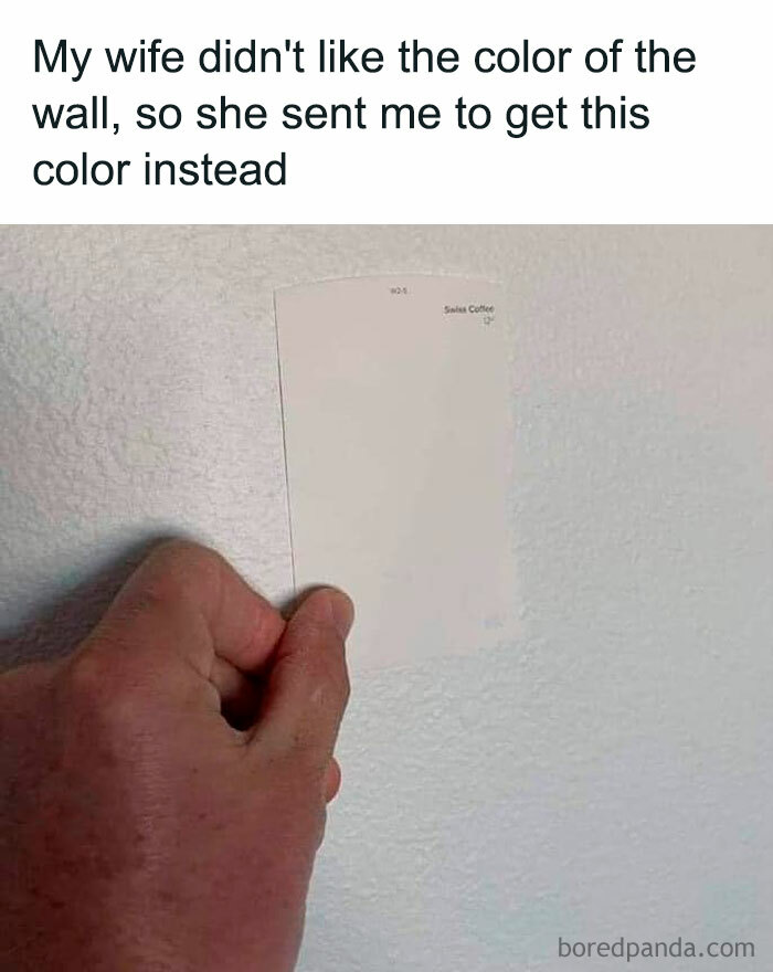 A hand holding a paint sample against a wall, highlighting humorous female problems with color choices.