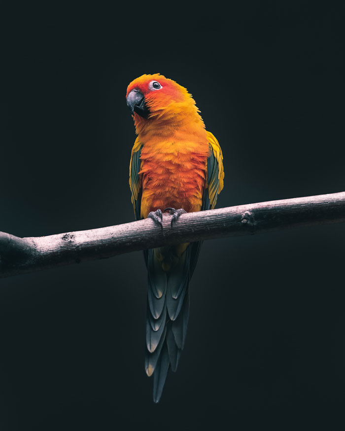 People Shared The Worst Birthday Gifts They’ve Ever Received, Here Are 69 Of The Most Awful Ones