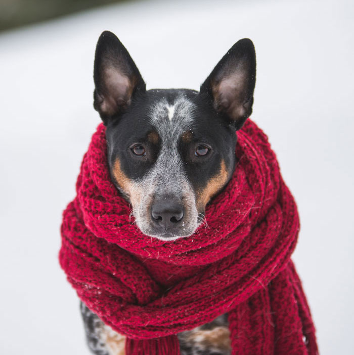 People Shared The Worst Birthday Gifts They’ve Ever Received, Here Are 69 Of The Most Awful Ones