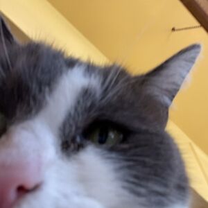 elliottberry65 avatar