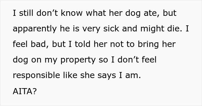 "I've Heard She Plans To Sue Me For Her Vet Bills": Guest Brings Her Dog To A Party Without Permission, Blames It On The Hostess When He Gets Seriously Sick