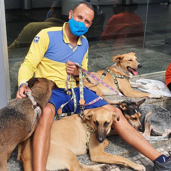 Meet The Brazilian Postman Who Conquers The Friendship Of Dogs And Cats Wherever He Goes (40 New Pics)