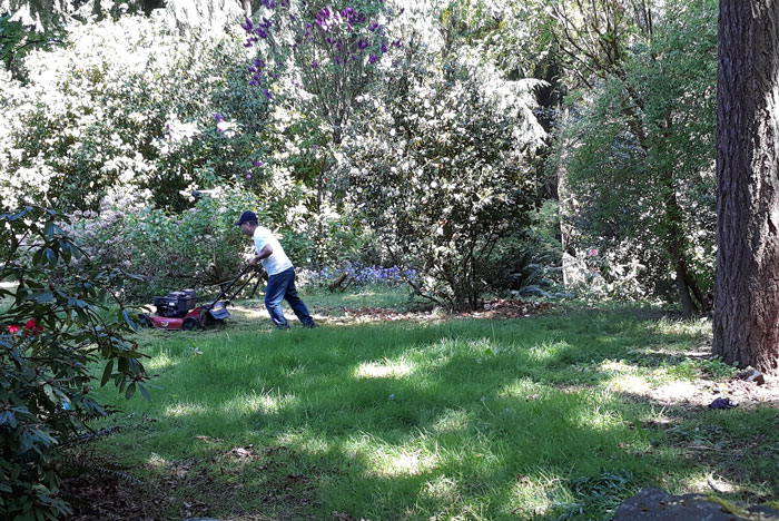 “Just Before 8 PM, One Of My Neighbors Started Screaming”: Woman Ordered To Stop Mowing Her Lawn Because It’s Sunday And People Want To Rest “Just Before 8 PM, One Of My Neighbors Started Screaming”: Woman Ordered To Stop Mowing Her Lawn Because It’s Sunday And People Want To Rest