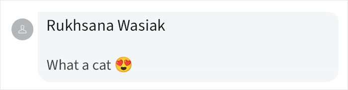 Artist Used AI To Put Animals On Magazine Covers And Here Are 9 Of The Images