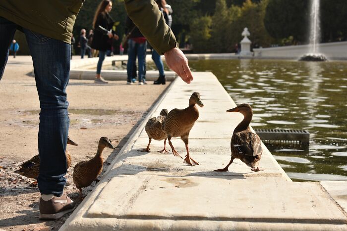 Unethical-Life-Hacks