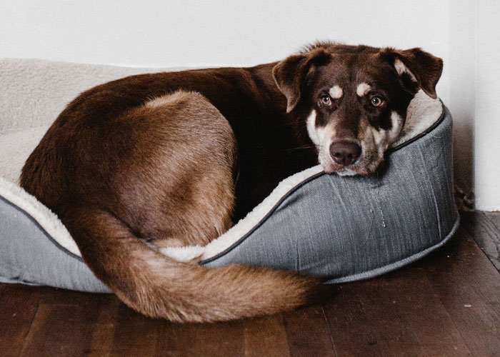 “Haven’t Spoken To My ‘Parents’ In Over 10 Years”: 30 People Reveal Their Thoughts On Parents Kicking Their Kids Out At 18