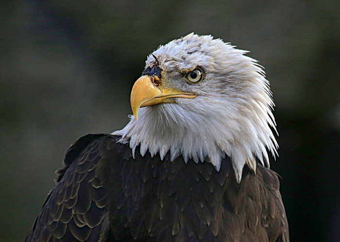 Folks In This Online Group Are Surprised Some People Actually Want To Do These 30 Stupid Things