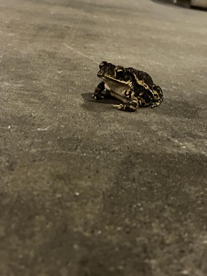 Poor Baby Got Beat Up By A Mouse At Work This Morning