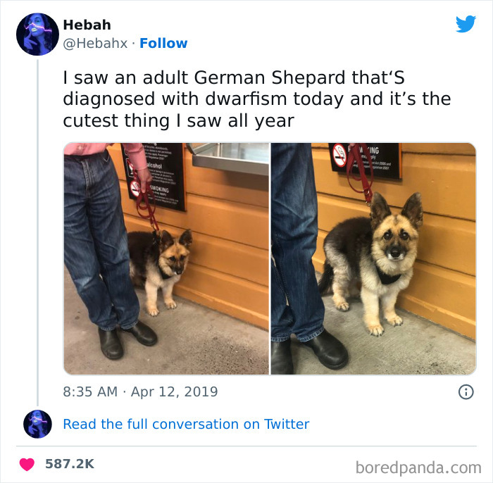 Funny-Memes-Falling-In-Society