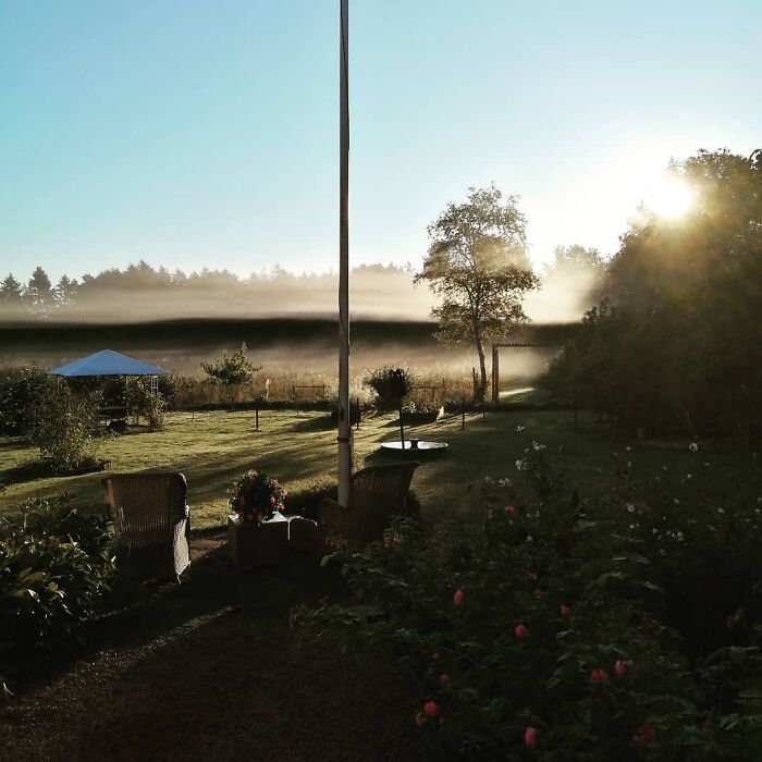 View From Our Livingroom