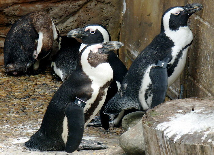 30 Facts That Sound Bizarre But Are Real, Shared By Folks In This Online Community