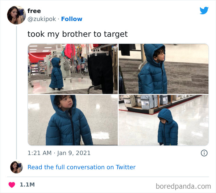 Funny-Memes-Falling-In-Society