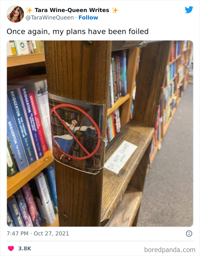 "Disney meme with a crossed-out character on a library shelf, humorously referencing plans being foiled."
