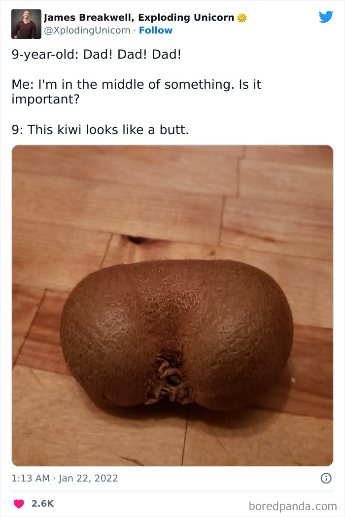 Life-With-9-Year-Olds-Tweets