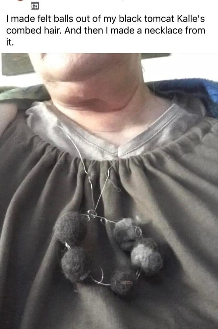 I'm Curious If She Strung It Together With Lost Whiskers