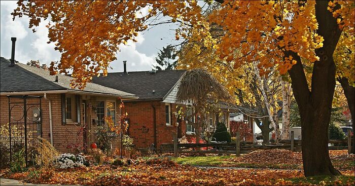 26 Organizations In Modern Society That Should Be Called Cults Despite Formally Not Called One, According To Folks Online