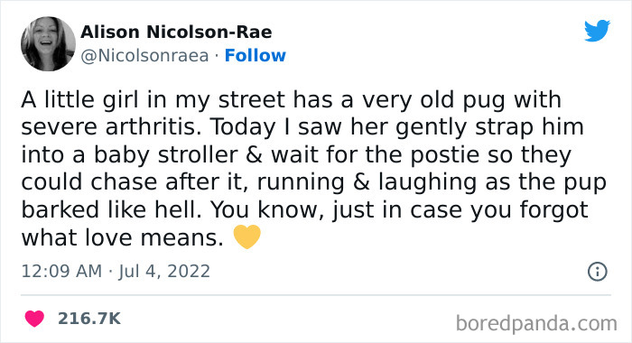 Tweet about a girl taking care of an old pug, showcasing a humorous and heartwarming animal moment.