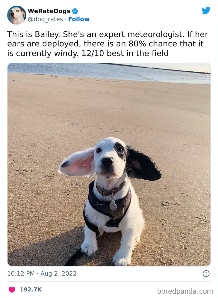 The Little Thing Might Just Float Away