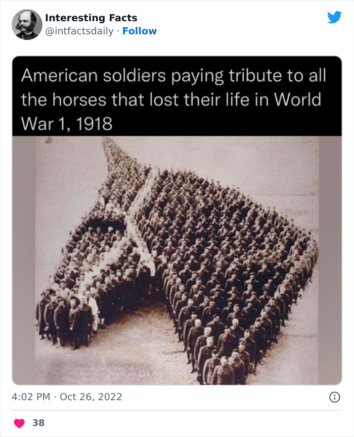 Interesting-Facts-Page-Twitter