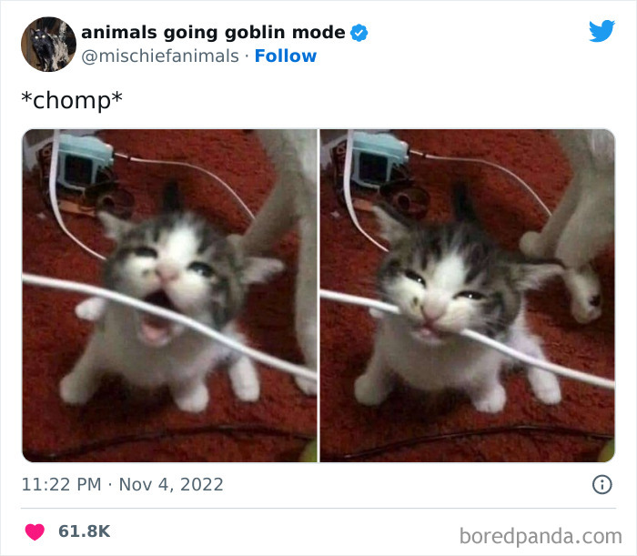Goblin-Mode-Animals