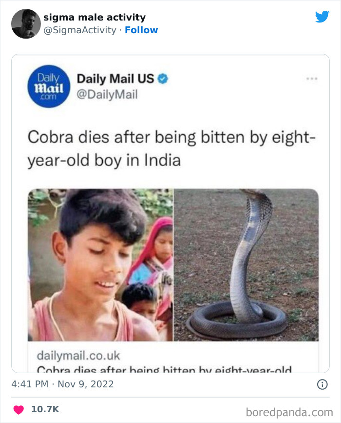 Sigma-Male-Activity-Posts