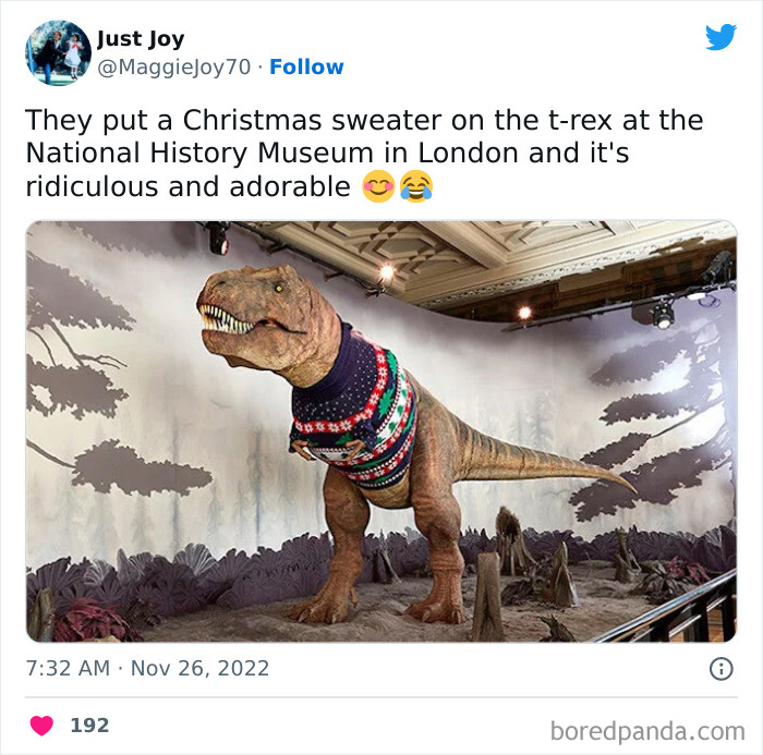 T-rex in a colorful Christmas sweater at the museum, showcasing animals and humor together.