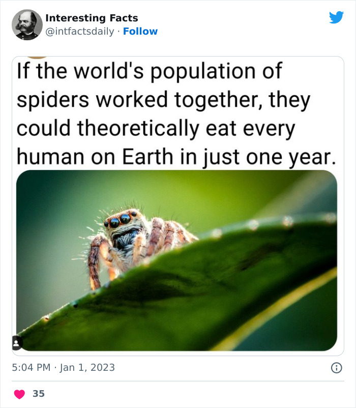 Interesting-Facts-Page-Twitter