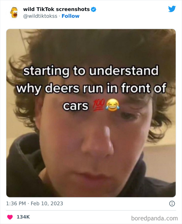 Crazy-Wild-Tiktok-Screenshots