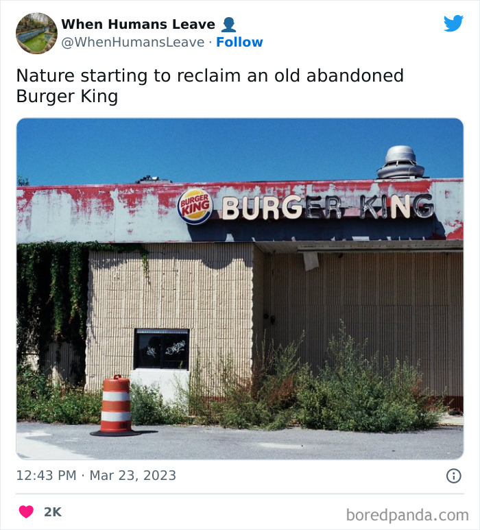 Abandoned-Places-Pics-When-Humans-Leave