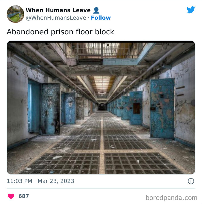 Abandoned-Places-Pics-When-Humans-Leave