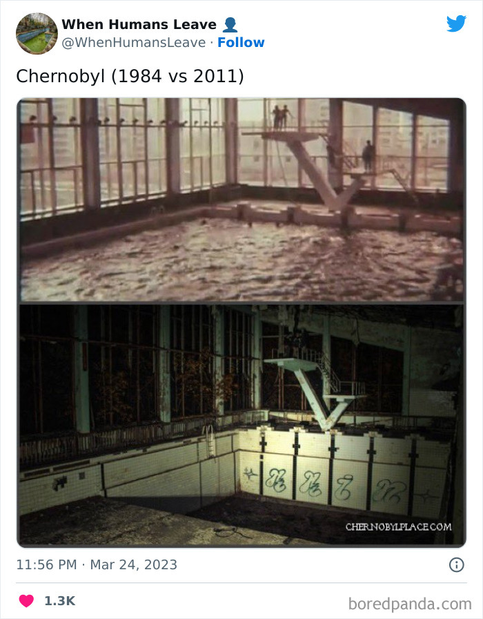 Abandoned-Places-Pics-When-Humans-Leave