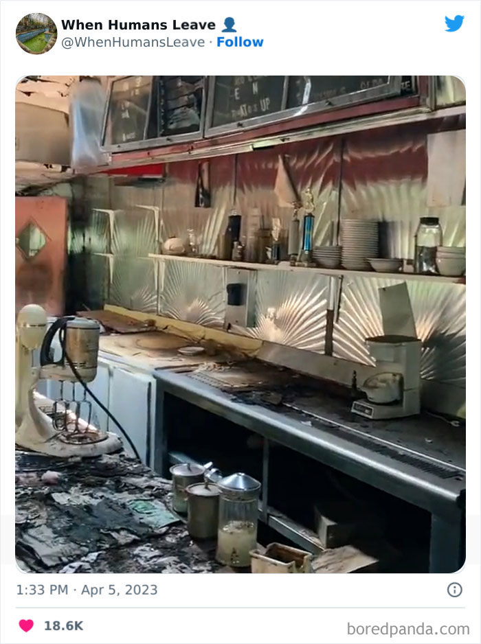 Abandoned-Places-Pics-When-Humans-Leave