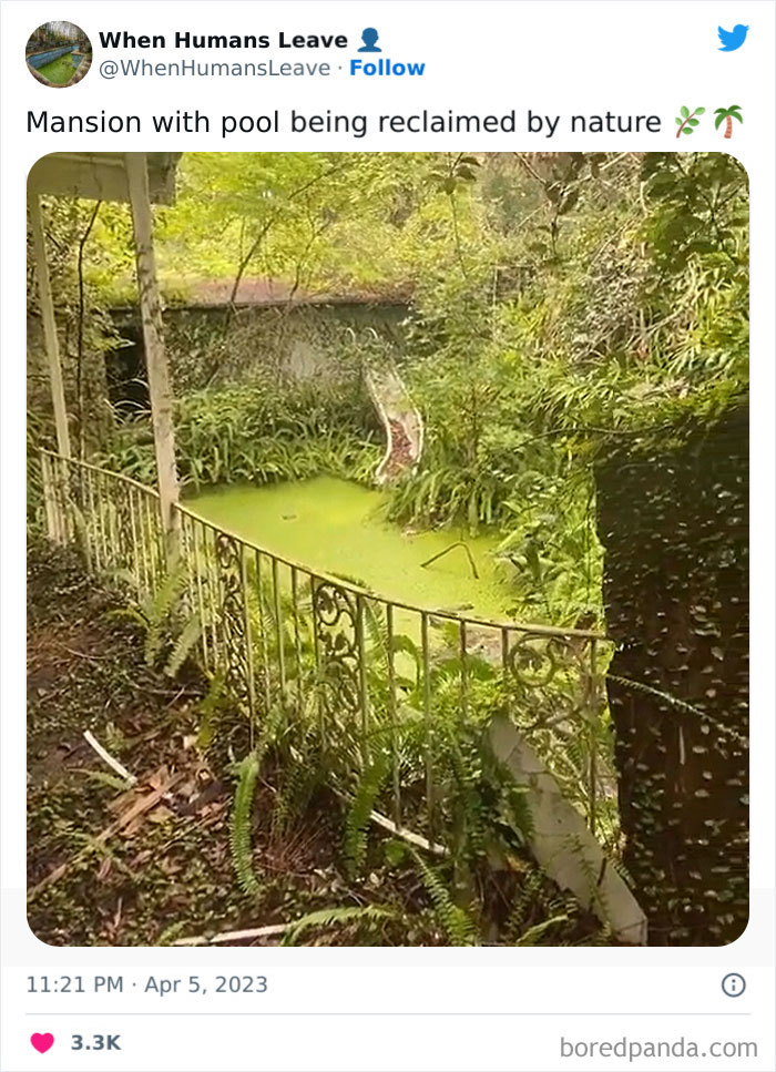 Abandoned-Places-Pics-When-Humans-Leave