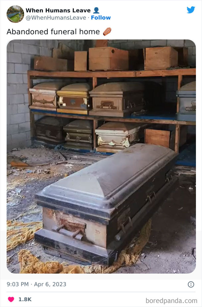 Abandoned-Places-Pics-When-Humans-Leave