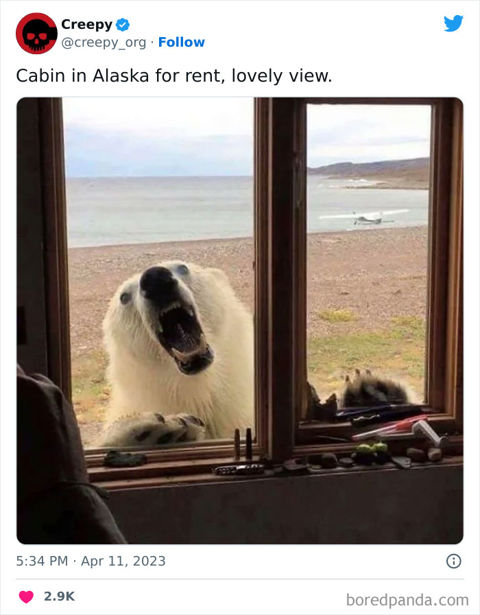 Creepy-Org-Tweets