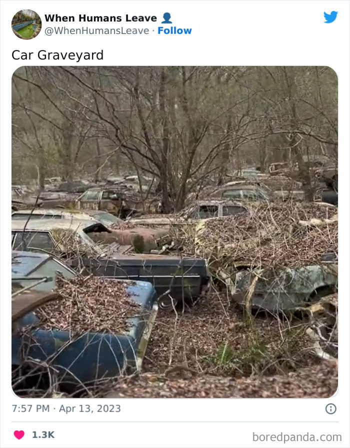 Abandoned-Places-Pics-When-Humans-Leave